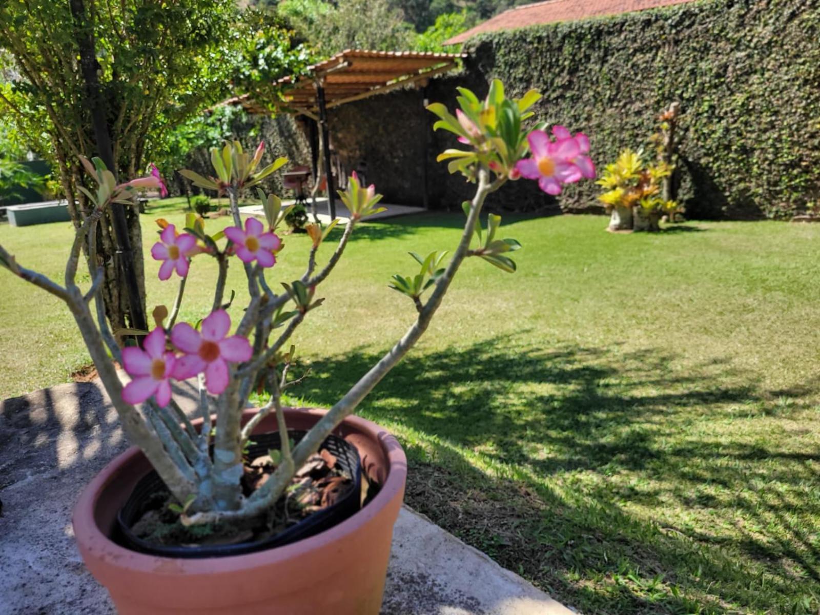 Villa Terracotta Miguel Pereira Esterno foto